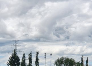 5G Tower Technician Warns About EMF Radiation