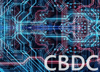 Central Bank Digital Currency (CBDC)